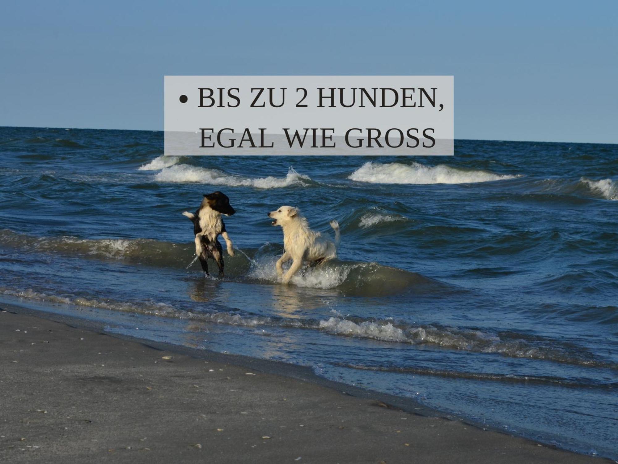 Haus Krabbe, Apartment 10, Naehe Bremerhaven, Fuer 1-2 Personen, 2 Schlafzimmer, Einzelbetten, Zweite Etage, Zentral Gelegen, Bis Zu 2 Hunden Kostenfrei Willkommen 뢰멘 외부 사진